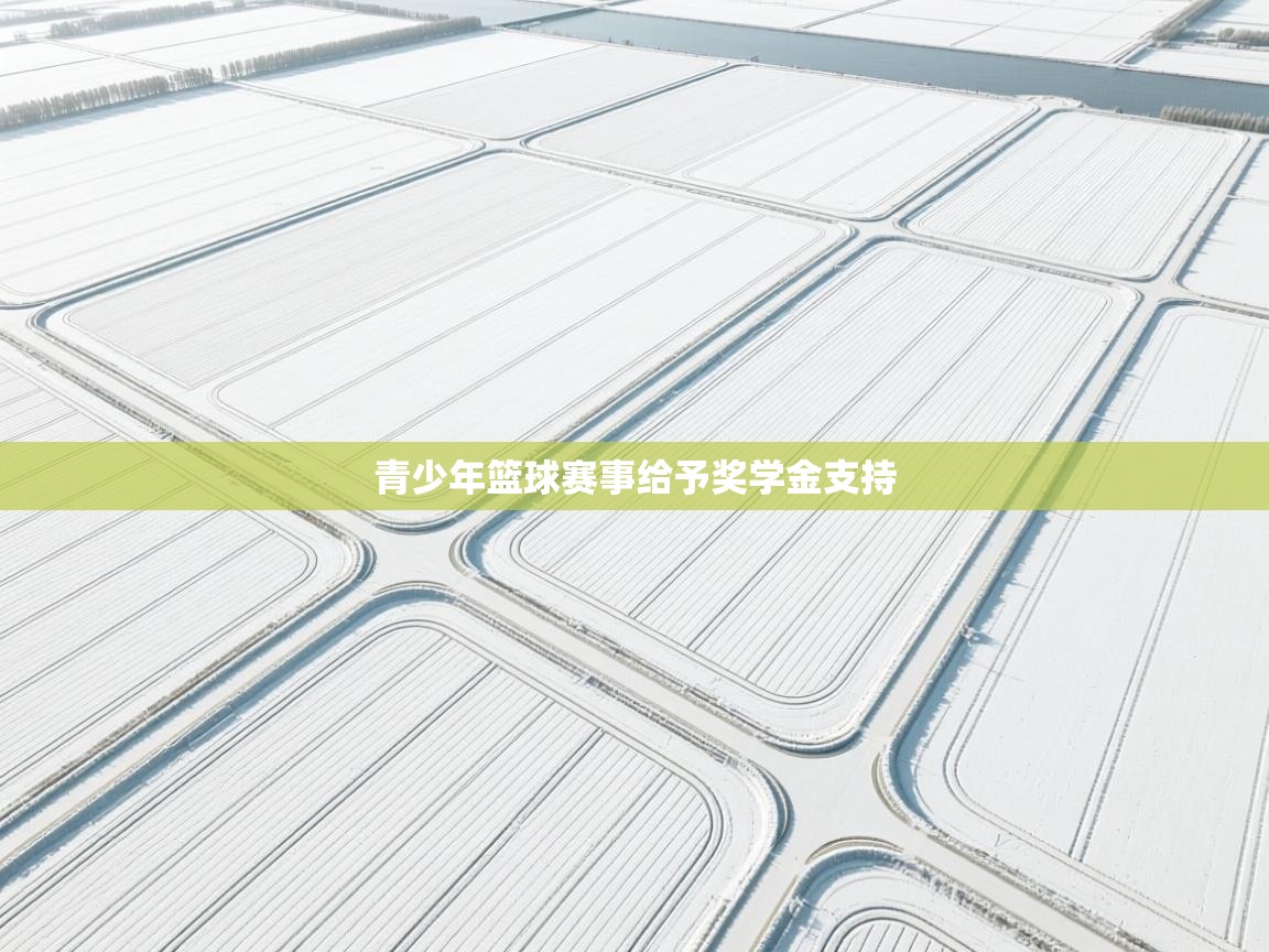 青少年篮球赛事给予奖学金支持  第1张