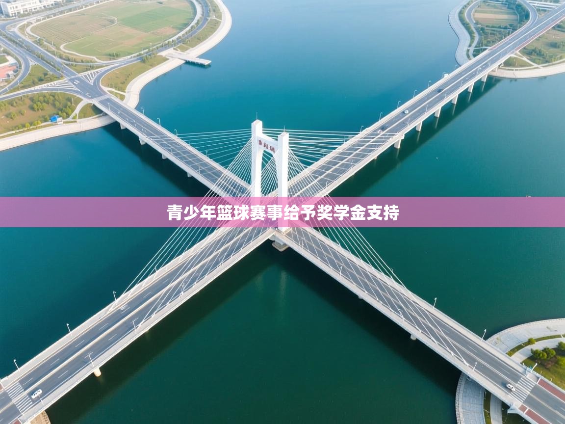 青少年篮球赛事给予奖学金支持  第2张