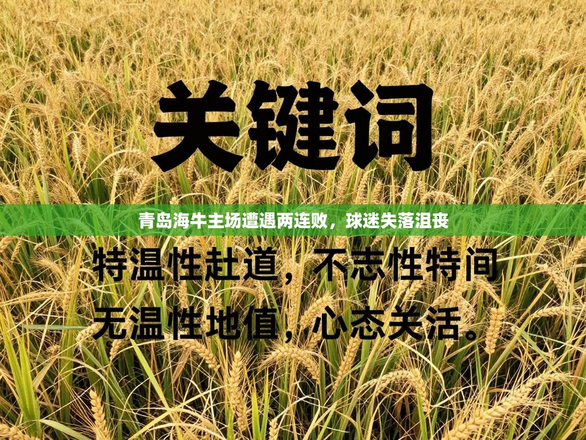 青岛海牛主场遭遇两连败，球迷失落沮丧  第1张