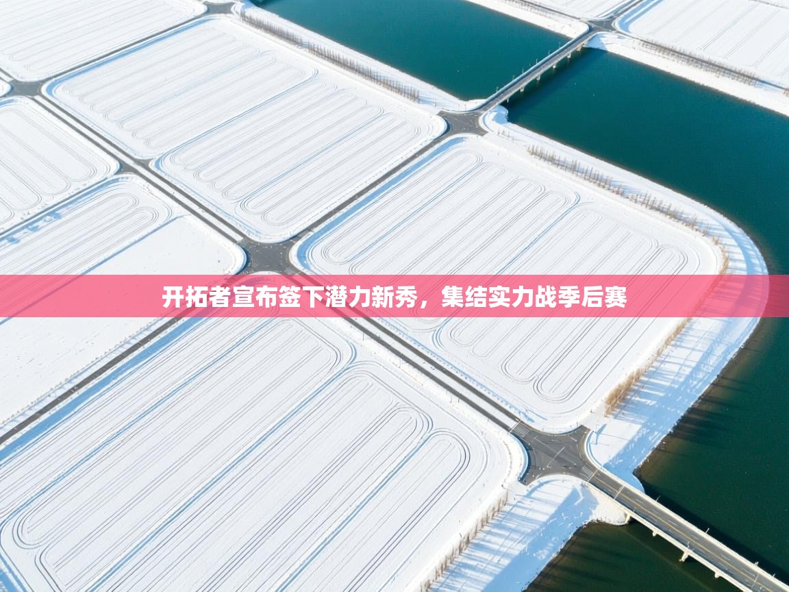 开拓者宣布签下潜力新秀，集结实力战季后赛  第2张