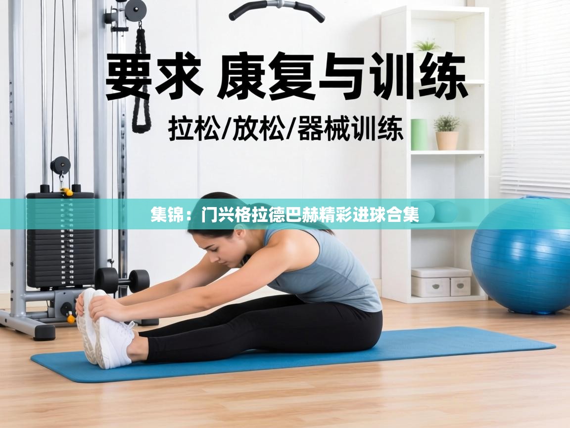 集锦:门兴格拉德巴赫精彩进球合集 第1张
